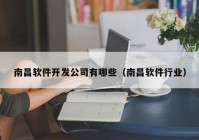 南昌软件开发公司有哪些（南昌软件行业）