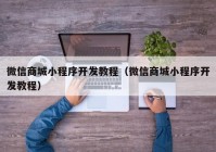 微信商城小程序开发教程（微信商城小程序开发教程）