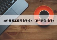 软件开发工程师自学成才（软件开发 自学）