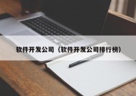 软件开发公司（软件开发公司排行榜）