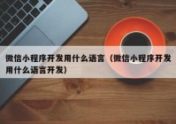 微信小程序开发用什么语言（微信小程序开发用什么语言开发）